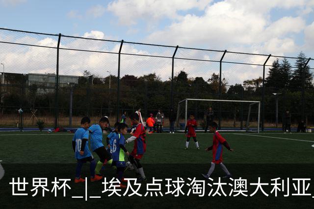 世界杯 | 埃及点球淘汰澳大利亚 亚洲区球队全部出局